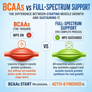 Do BCAAs Still Work? The Truth for Muscle Building