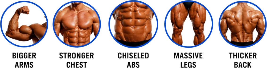 Bigger Arms, Stronger Chest, Chiseled Abs, Massive Legs, Thicker Back